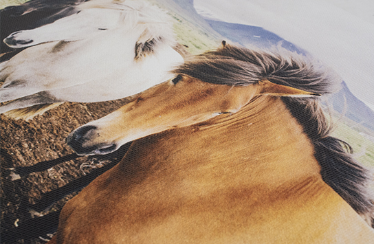 Supplier catalog view: canvas texture